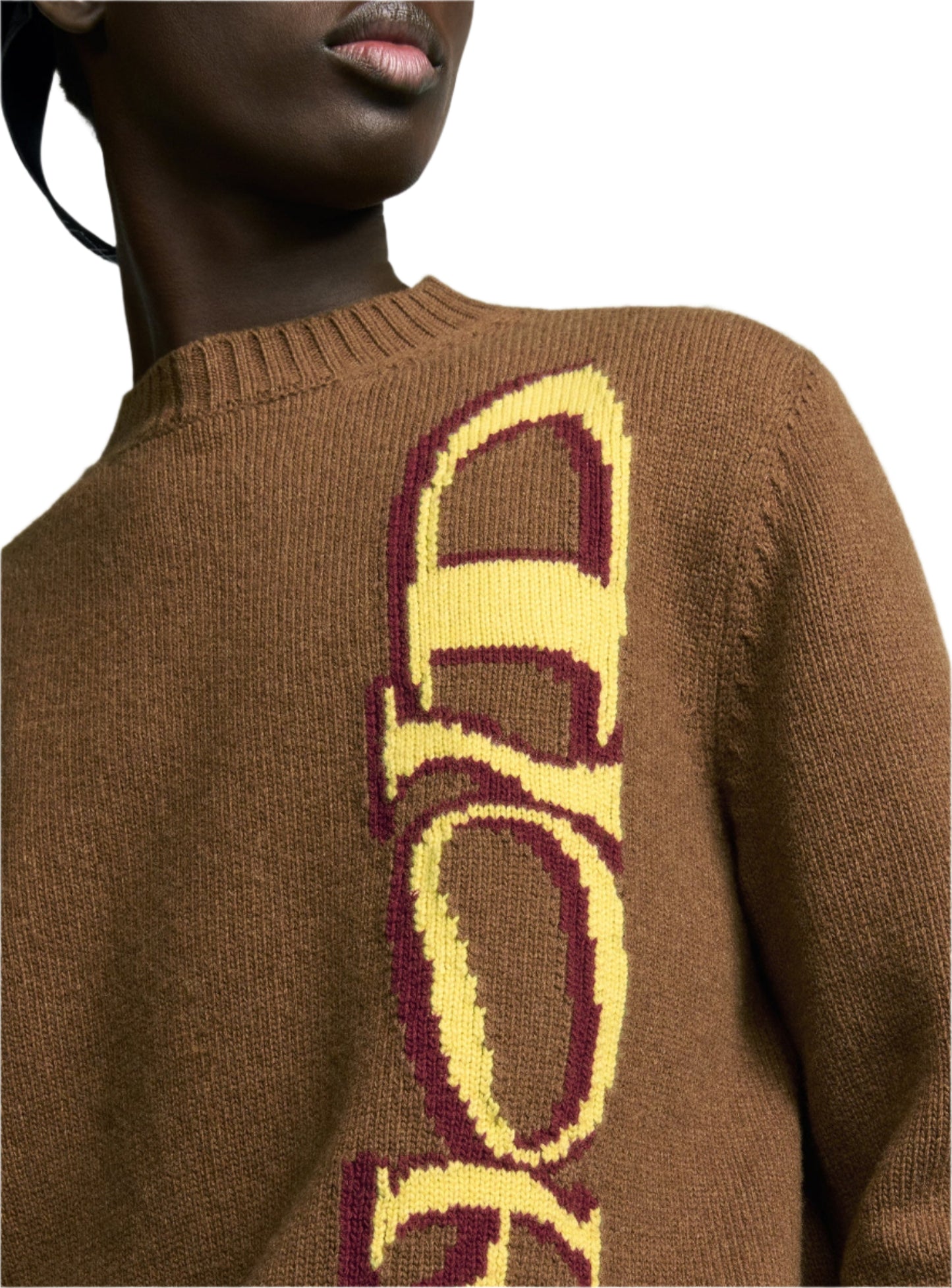 DIOR AND LEWIS HAMILTON Sweater