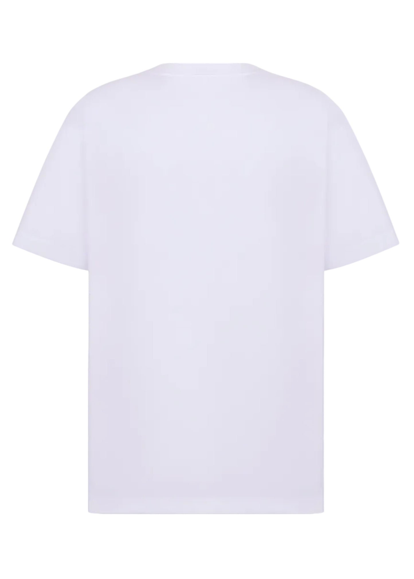 Dior Mountain T-Shirt "White"