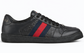 Gucci Screener "Black"