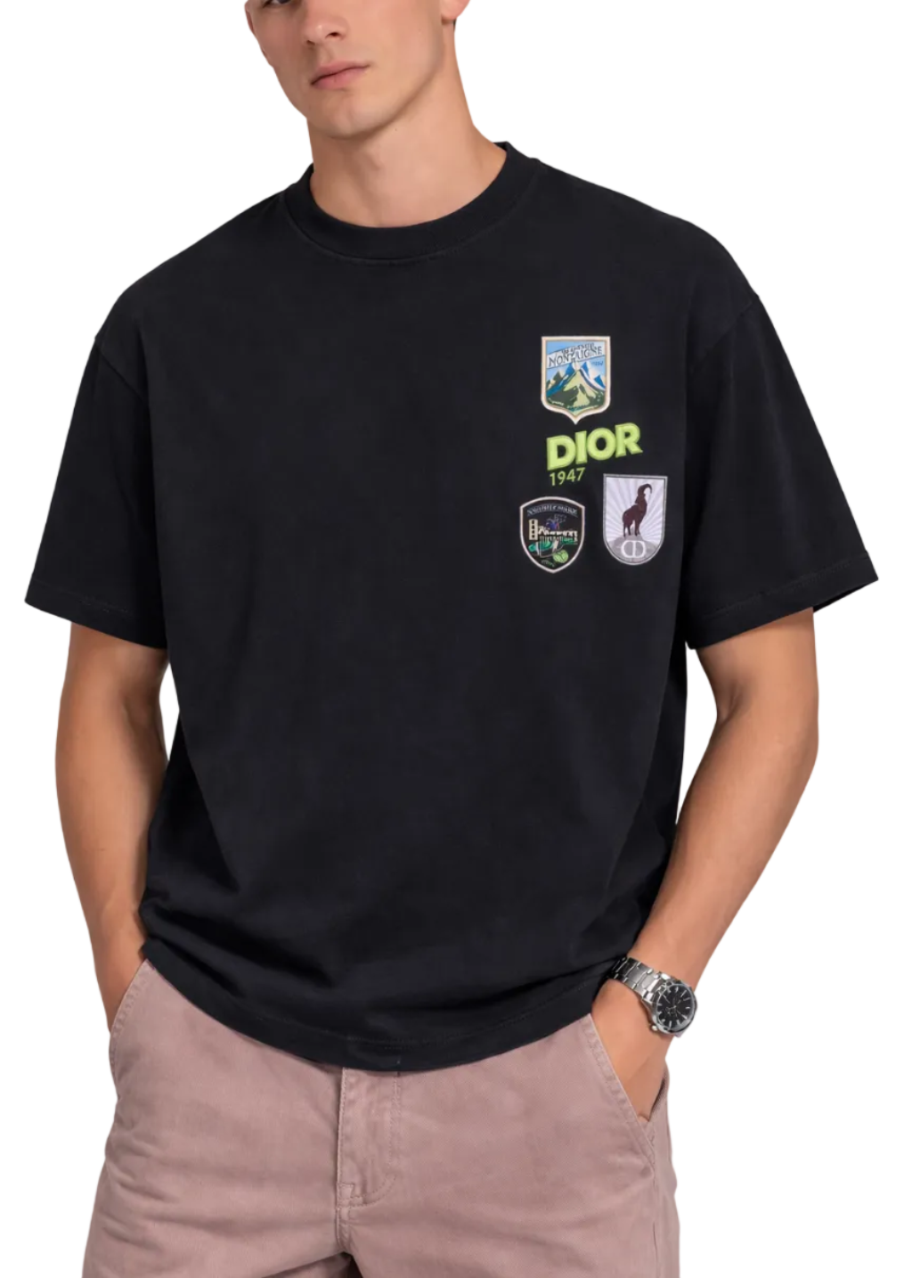 Dior Mountain T-Shirt "Black"