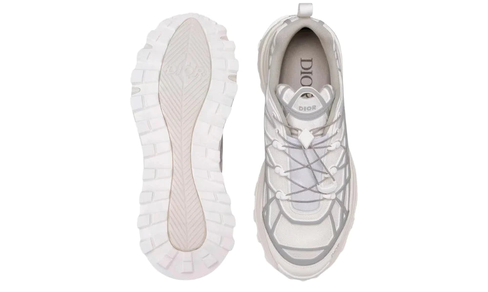 Dior B31 Runner 'White Grey'