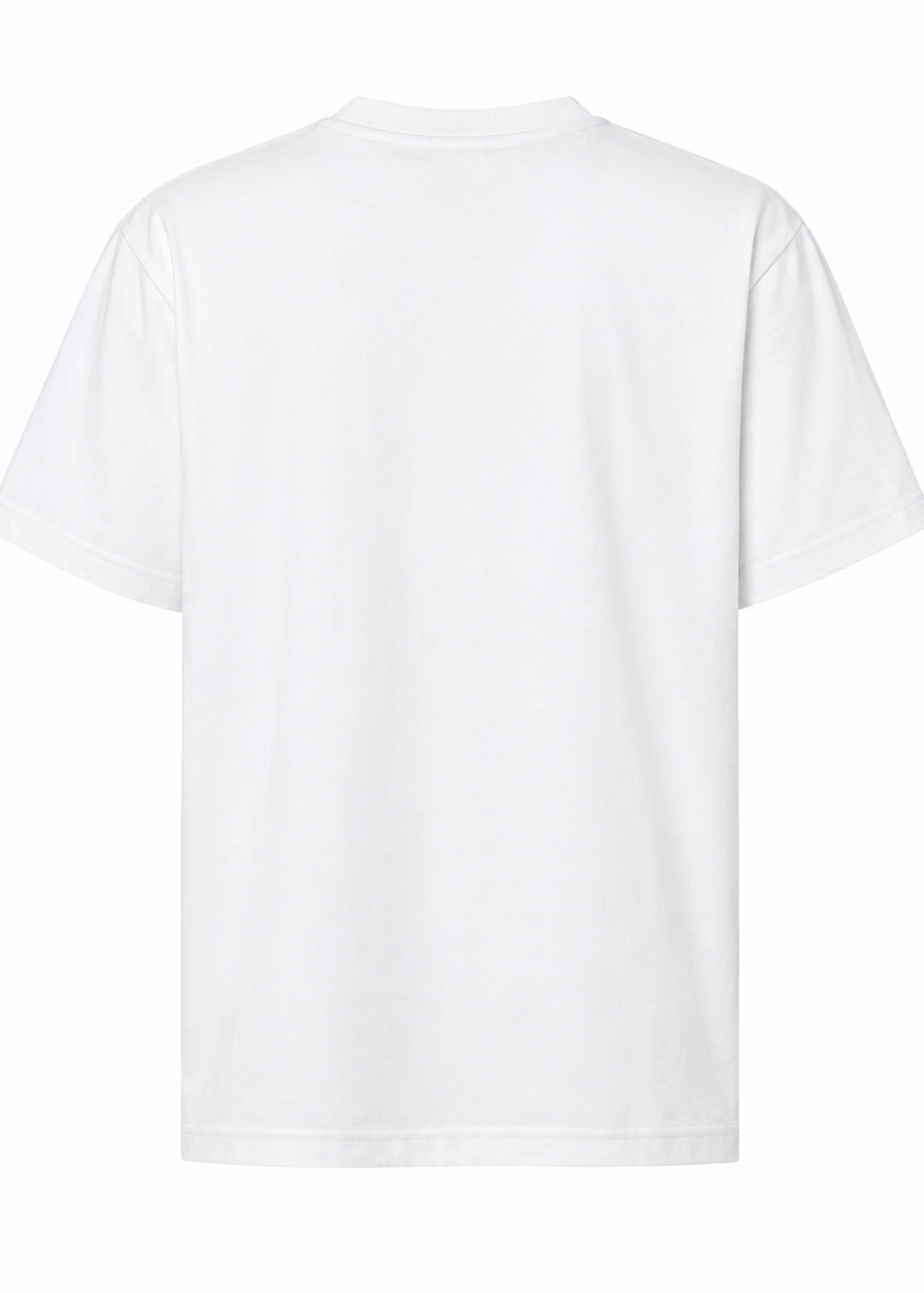 Dior T-Shirt with Book Cover Embroidery and Print