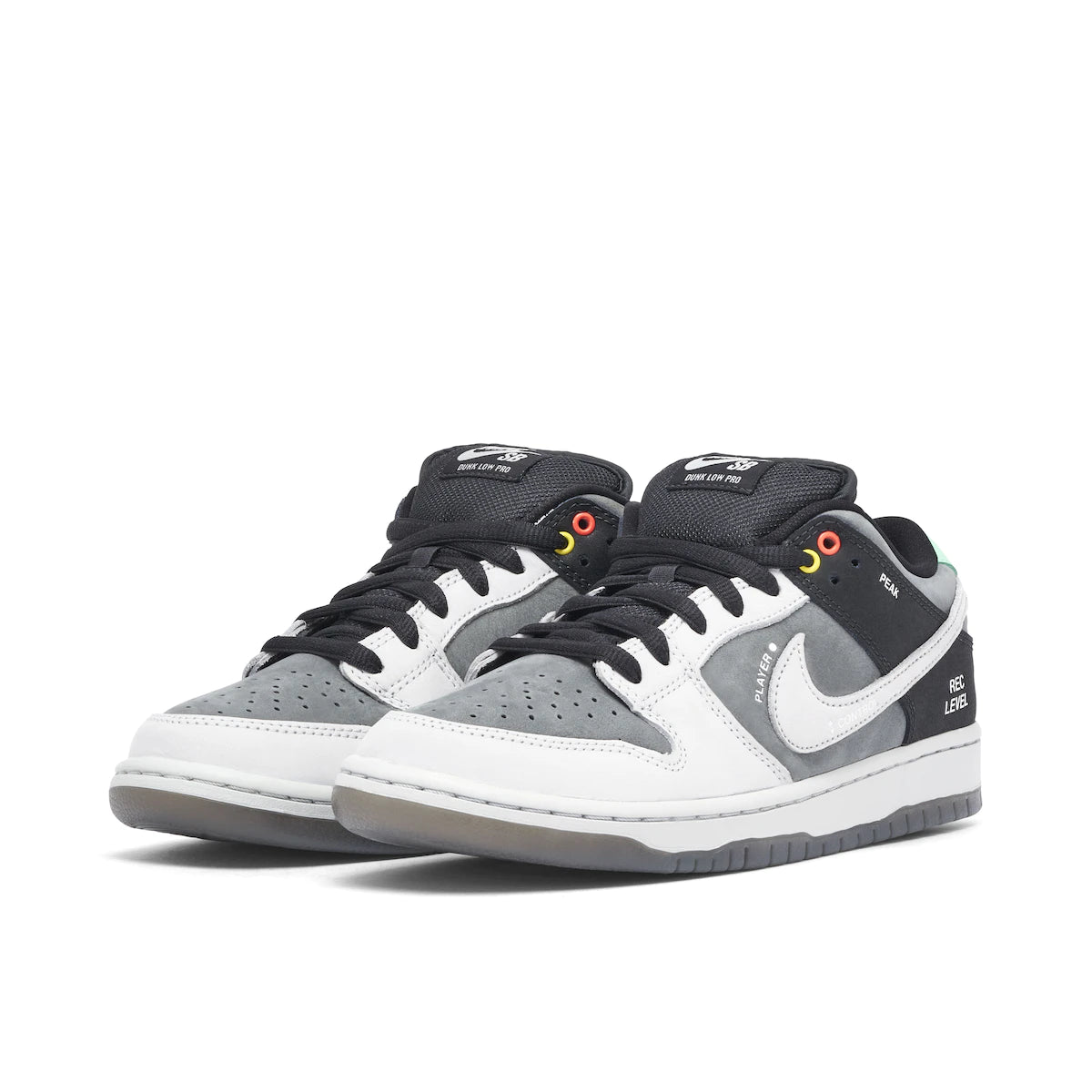 Nike Dunk Low SB 'Camcorder'